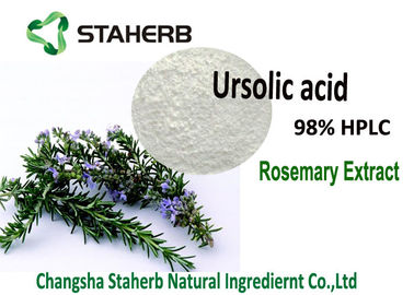 China Ursolic Zuur 25-98% Rosemary Extract Powder Rosmarinic Acid 50-98% Carnosic Zuur 5-90% leverancier