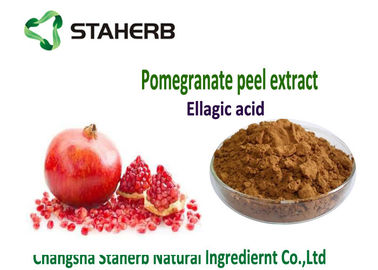 China Ellagic Zuur Anti-oxyderend Dieetsupplement, Natuurlijke Anti-oxyderende Supplementen leverancier